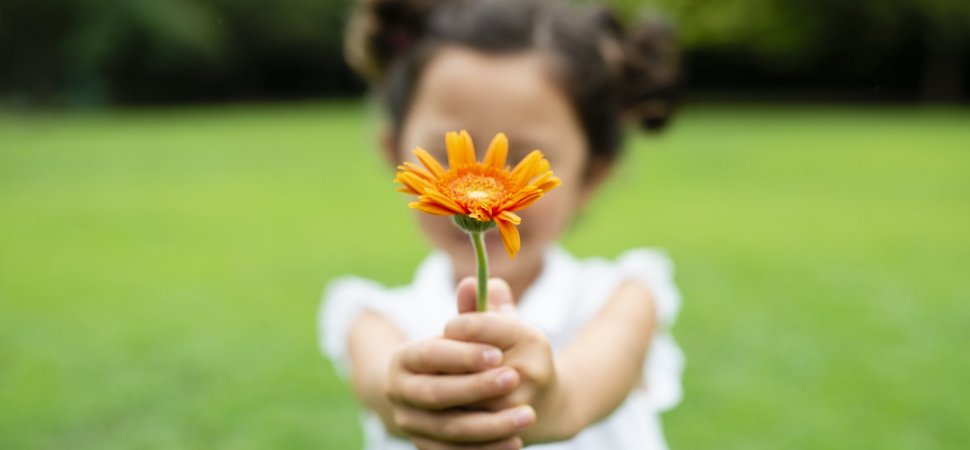 Tout est une question de perspective.