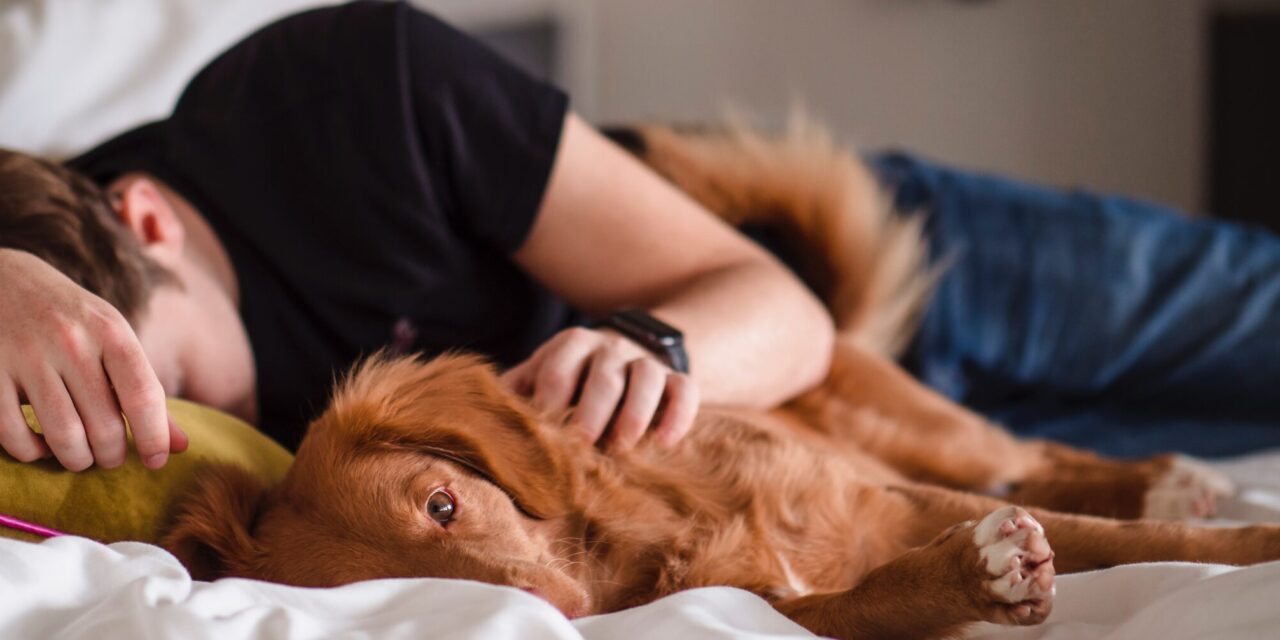 Comment ne pas penser au travail le soir? 