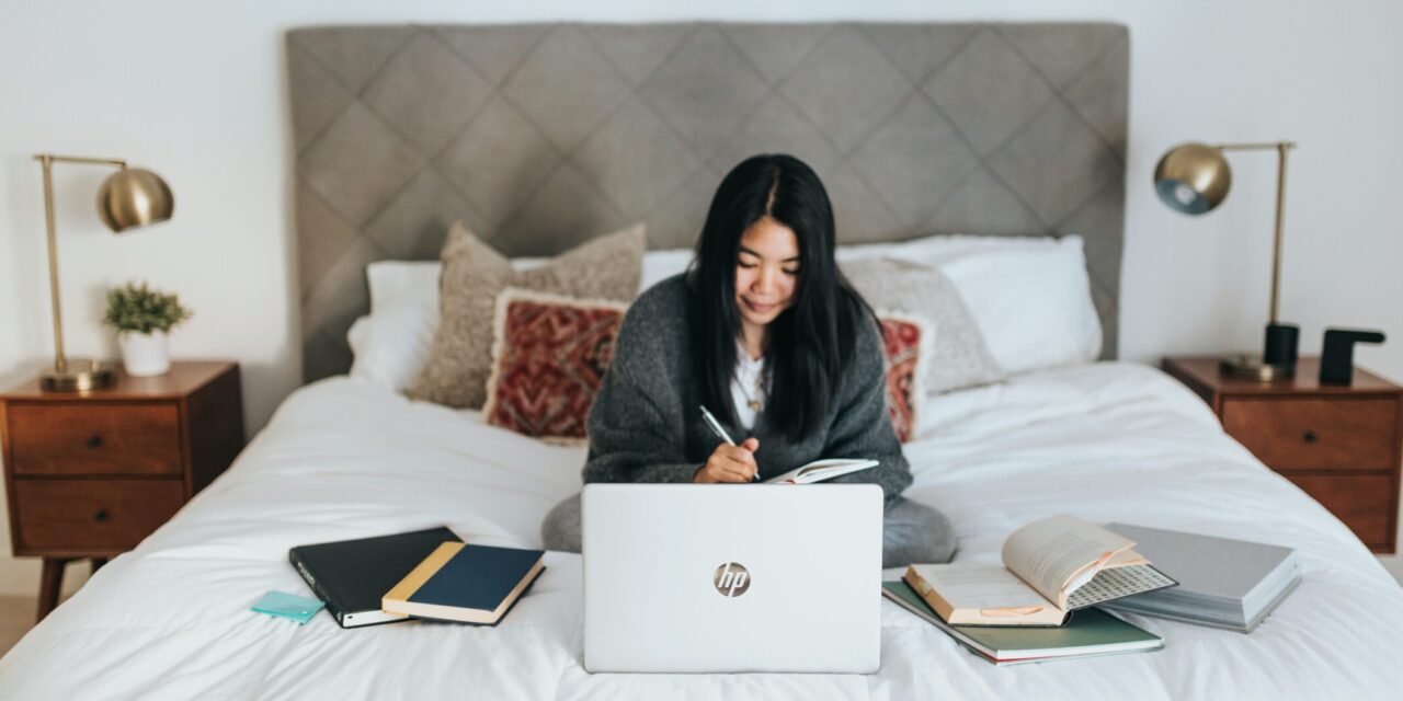 Télétravail : Risques et solutions. 