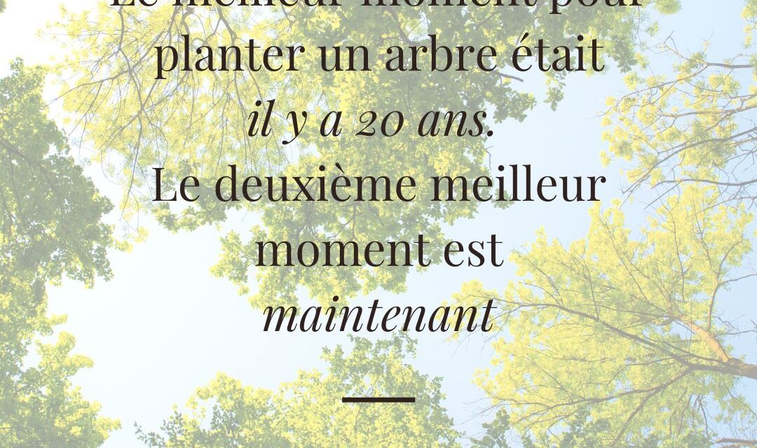 Il n&rsquo;est jamais trop tard pour passer à l&rsquo;action !